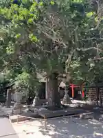 芦屋神社(兵庫県)