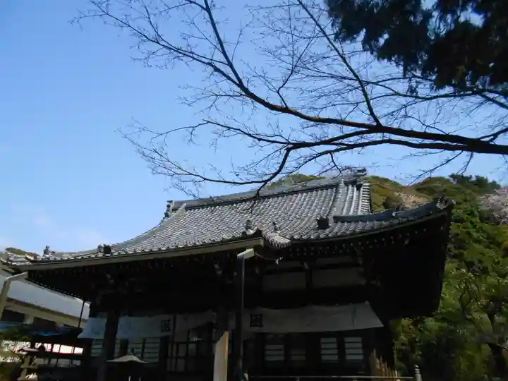 安國論寺(安国論寺)の本殿・本堂