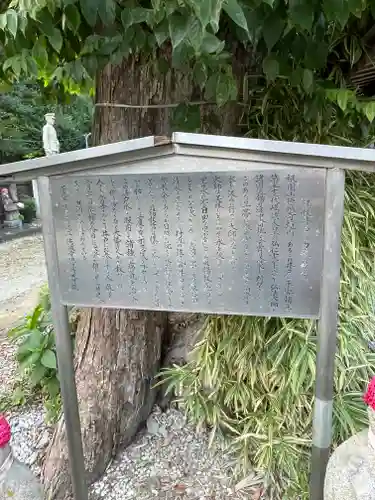 祇園山 徳城寺の歴史