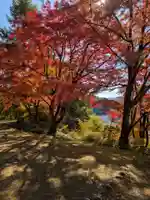 円蔵寺(福島県)