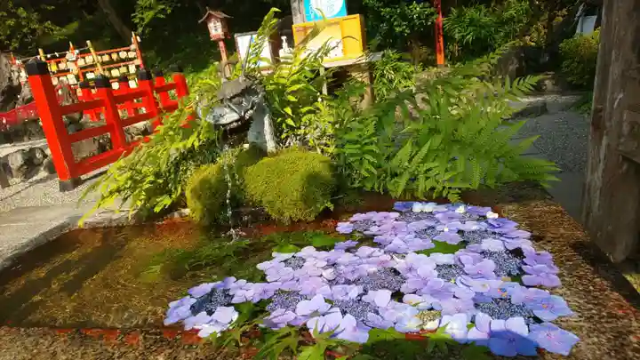 出雲大神宮の庭園
