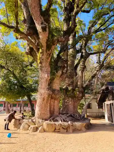 長田神社(兵庫県)