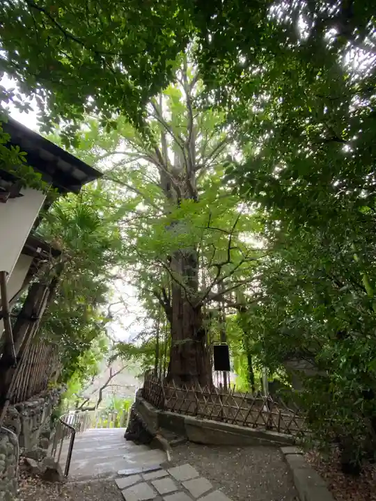 王子神社(東京都)