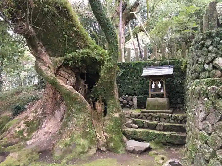 都萬神社の自然