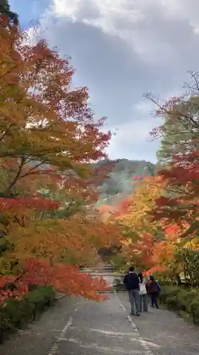 二尊院(京都府)