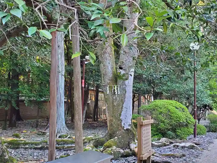 多田神社の自然