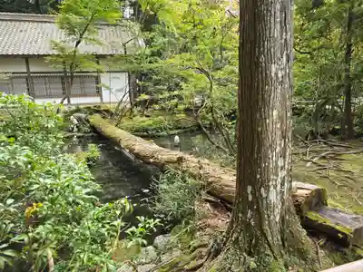 法然院(京都府)