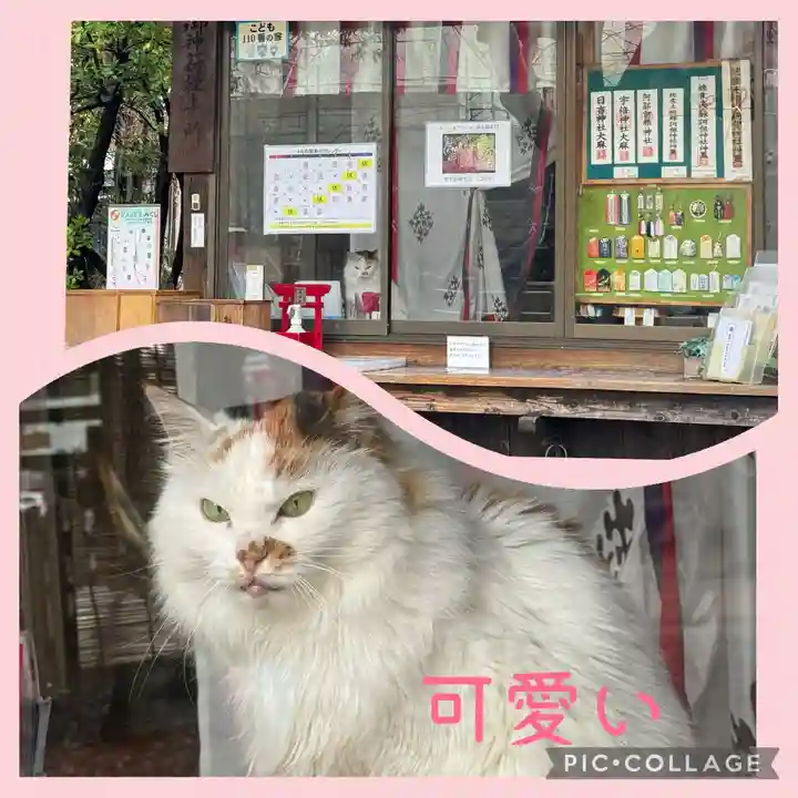 阿邪訶根神社(福島県)