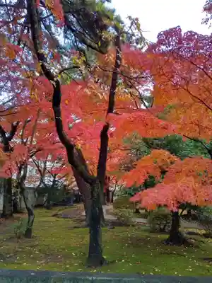 正樂寺(宮城県)