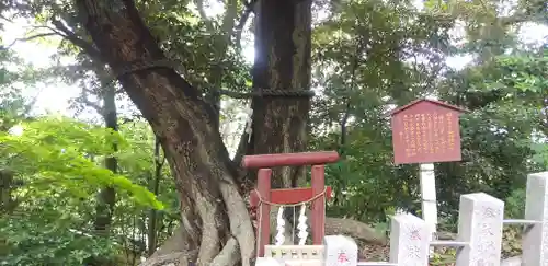 大鷲神社の自然