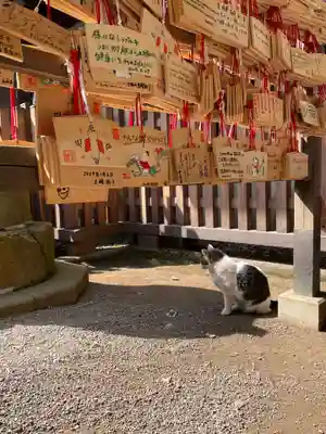 代々木八幡宮の絵馬