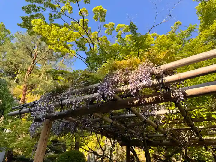 今熊野観音寺(京都府)