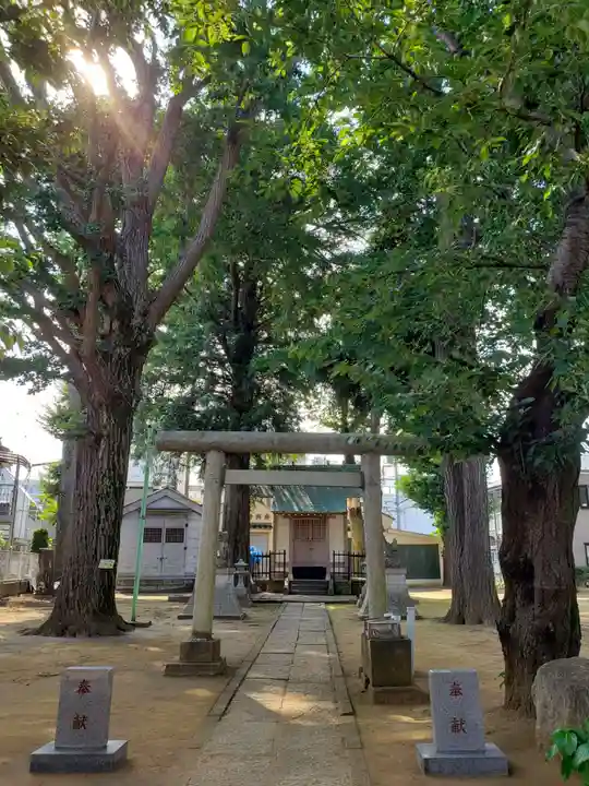 中野天祖神社の鳥居