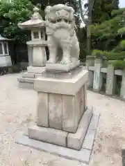 荒井神社の狛犬