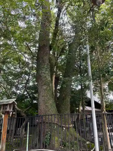 若宮神明社(愛知県)