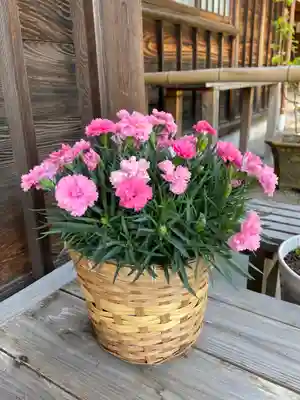 妙蓮寺(神奈川県)