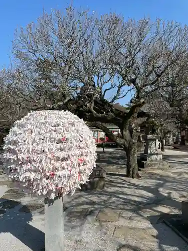綱敷天満宮(福岡県)