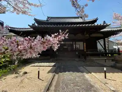 立本寺の本殿・本堂
