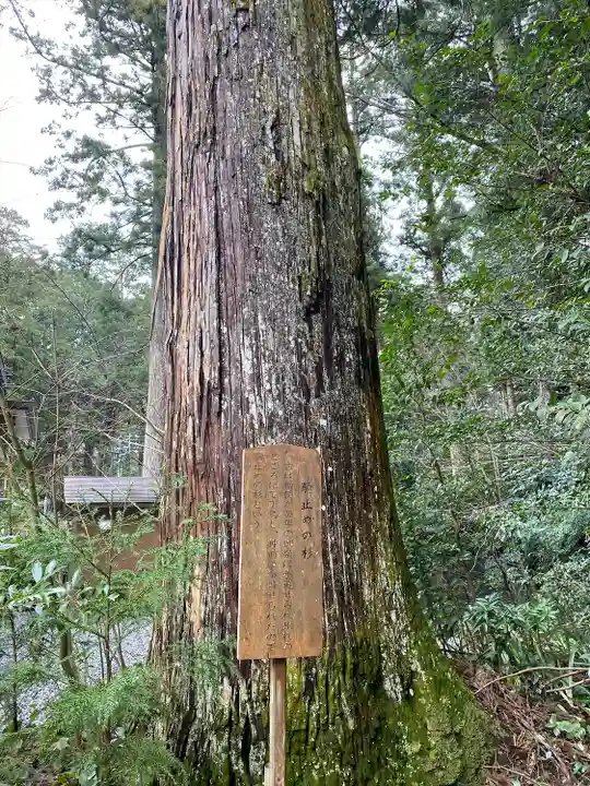 小國神社(静岡県)