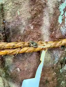 蚊里田八幡宮(長野県)(2025年08月23日(土) 14時29分11秒投稿)