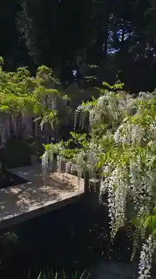 歌泉堂（春日大社神苑萬葉植物園内鎮座）(奈良県)