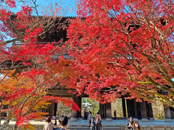 南禅寺の山門・神門