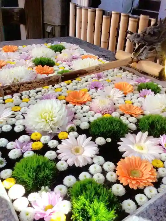 高円寺氷川神社(東京都)
