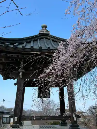 陽林寺の{uncategorized: "未分類", other: "その他", undefined: "問題あり", building: "その他建物", grave: "お墓", sacred_gate: "鳥居", guardian: "狛犬", statue: "像", buddha: "仏像", history: "歴史", nature: "自然", garden: "庭園", animal: "動物", pagoda: "塔", temizu: "手水舎", mountain_gate: "山門・神門", sanctuary: "本殿・本堂", subordinate: "末社・摂社", art: "芸術", scenery: "景色", jizo: "地蔵", ema: "絵馬", goshuin: "御朱印", omikuji: "おみくじ", items: "授与品その他", amulet: "お守り", goshuincho: "御朱印帳", eats: "食事", festival: "お祭り", votive_dance: "神楽", shichigosan: "七五三参", wedding: "結婚式", experience: "体験その他", initially: "初詣", around: "周辺", anti_infection: "感染症対策"}