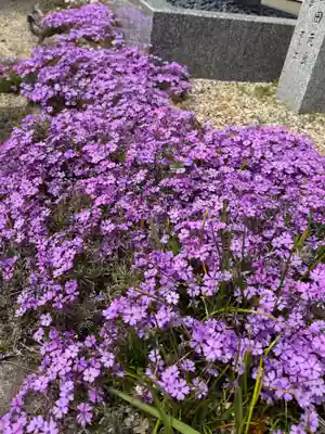 崇道天皇社(奈良県)