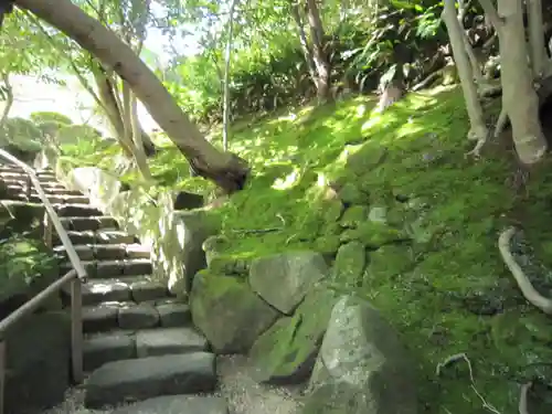 報国寺の庭園