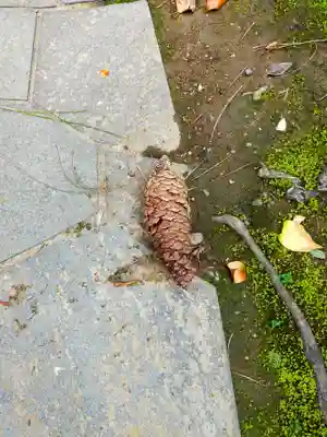 顕常寺(大阪府)