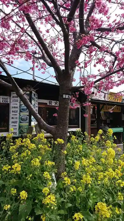 かっぱの寺 栖足寺の自然
