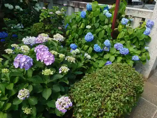白山神社(東京都)