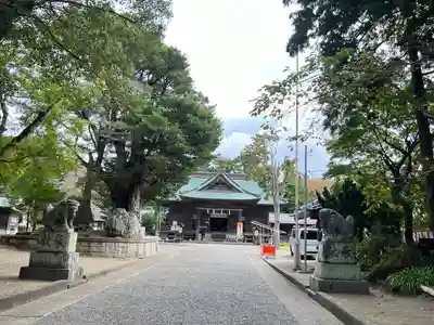 鶴谷八幡宮の本殿・本堂