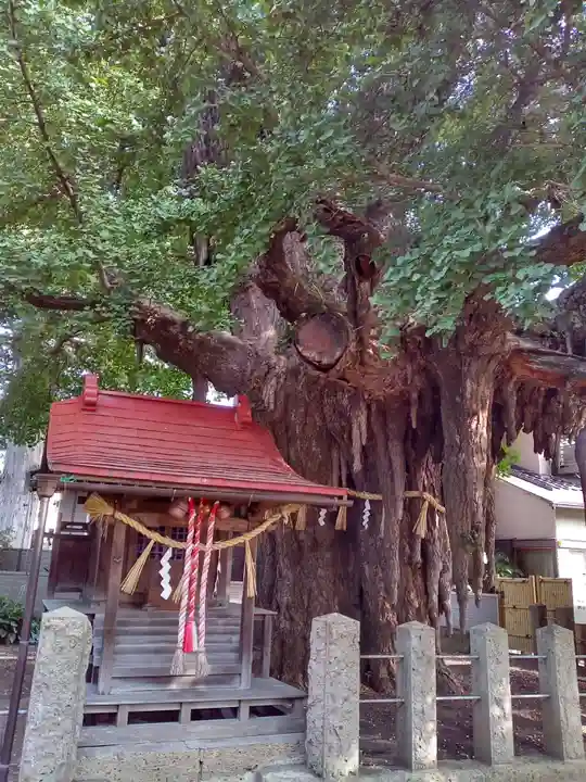 宮城野八幡神社(宮城県)