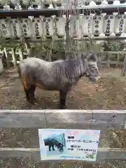 大石神社の動物