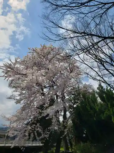 十二神社の自然