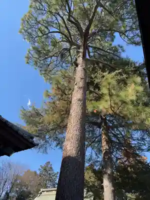 大宝八幡宮(茨城県)