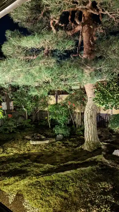 妙顯寺(妙顕寺)(京都府)