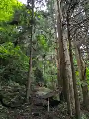 東堂山 満福寺（昭和羅漢）の自然