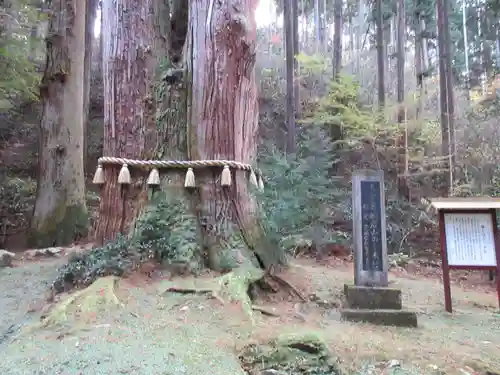 御岩神社の自然
