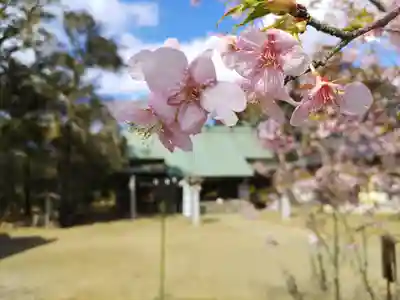 鎌数伊勢大神宮(千葉県)