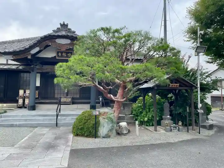 妙輪寺(神奈川県)