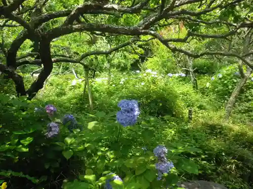 瑞泉寺の庭園