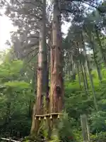 御岩神社の自然