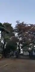 天祖神社の自然