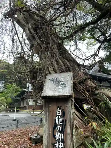 伊古奈比咩命神社(静岡県)