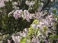 長善寺(神奈川県)