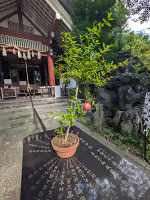 江東天祖神社(東京都)