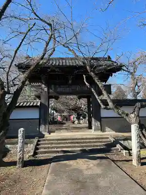 崇真寺(開運犬り切不動尊)(栃木県)